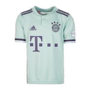ADIDAS PERFORMANCE Funkční tričko 'FC Bayern 18/19 Auswärts'  tmavě modrá / nefritová