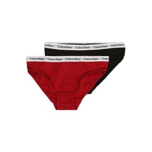 Calvin Klein Underwear Spodní prádlo '2PK BIKINI'  mix barev