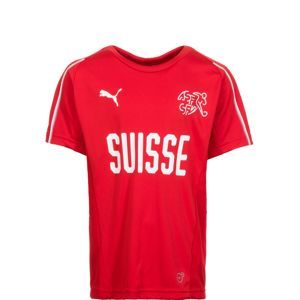 PUMA Funkční tričko 'Schweiz Trainingsshirt WM 2018'  červená