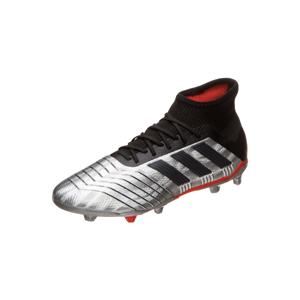 ADIDAS PERFORMANCE Sportovní boty 'Predator 19.1 FG'  černá / stříbrná