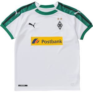 PUMA Funkční tričko 'Borussia Mönchengladbach 18/19 Heim'  tmavě zelená / bílá
