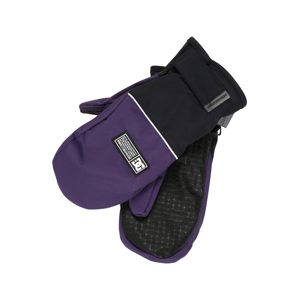 DC Shoes Sportovní rukavice 'FRANCHISE'  tmavě fialová / černá