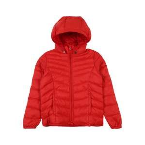 KIDS ONLY Zimní bunda  červená