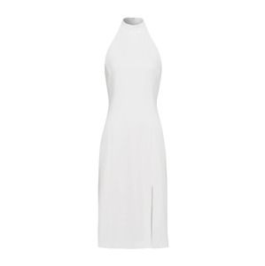 IVY & OAK Pouzdrové šaty  bílá