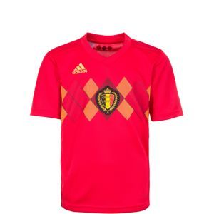 ADIDAS PERFORMANCE Funkční tričko 'Belgien Home WM 2018'  červená
