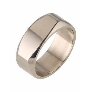 ROYAL-EGO Prsten 'Ring Classic Line'  stříbrná