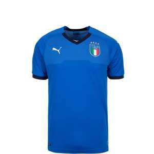 PUMA Funkční tričko 'Home WM 2018'  modrá / černá