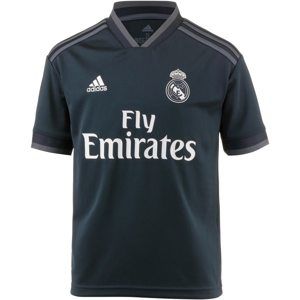 ADIDAS PERFORMANCE Funkční tričko 'Real Madrid 18/19'  tmavě šedá