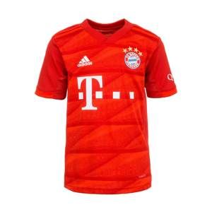 ADIDAS PERFORMANCE Funkční tričko 'FC Bayern München 2019/2020'  červená / bílá