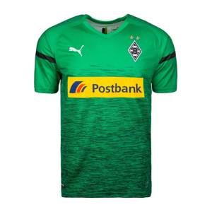 PUMA Trikot 'Borussia Mönchengladbach 3rd 2018/2019'  zelená / mix barev