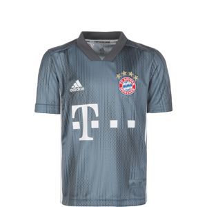 ADIDAS PERFORMANCE Funkční tričko 'FC Bayern München'  chladná modrá / šedá / bílá