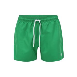 Emporio Armani Plavecké šortky  zelená / bílá