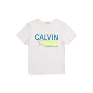 Calvin Klein Jeans Tričko 'CALVIN STAR'  světlemodrá / světle zelená / bílá