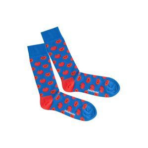 DillySocks Ponožky 'Lake Tomato'  modrá / červená